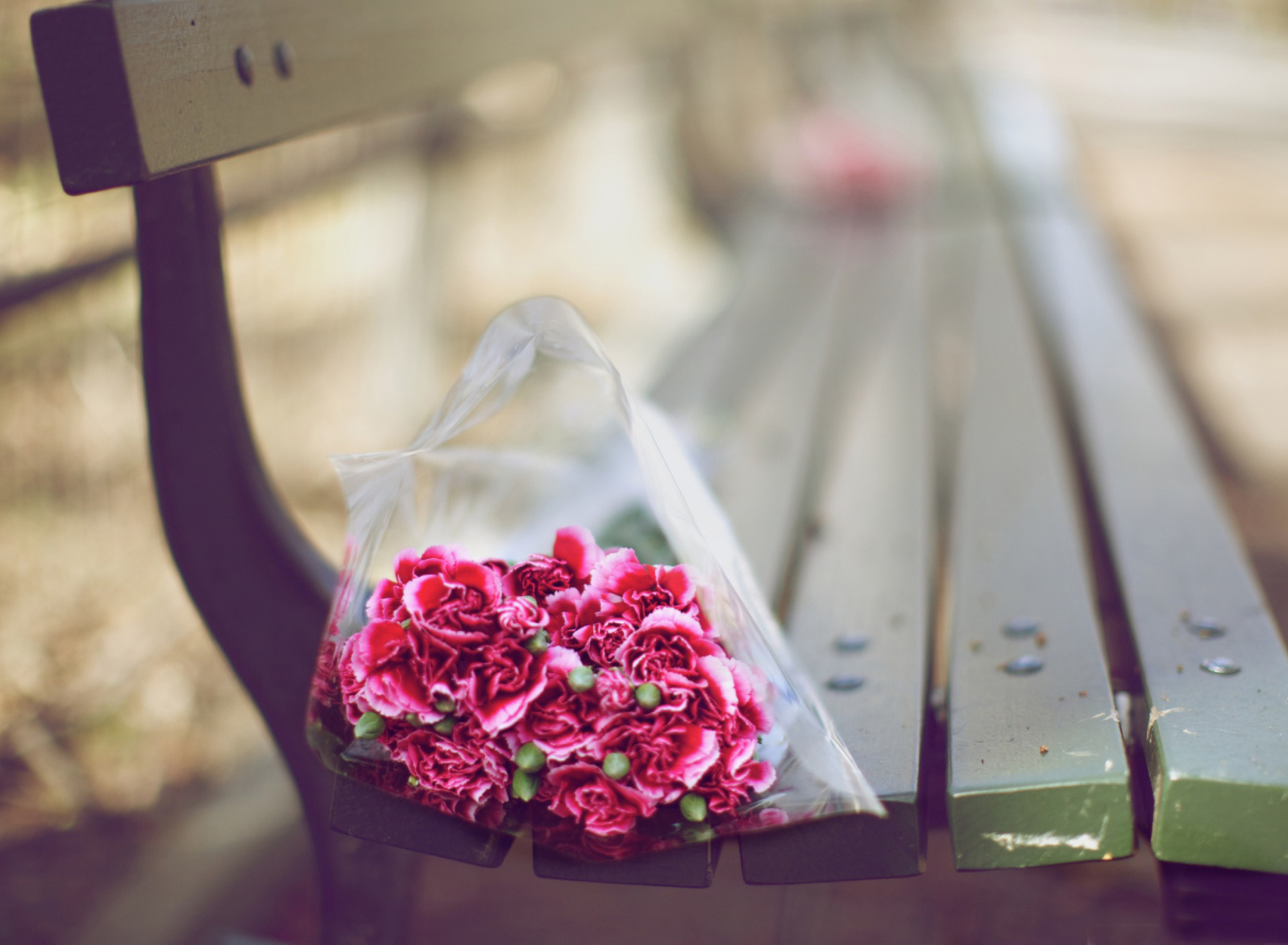 Bouquet On Bench In Park wallpaper 1920x1408