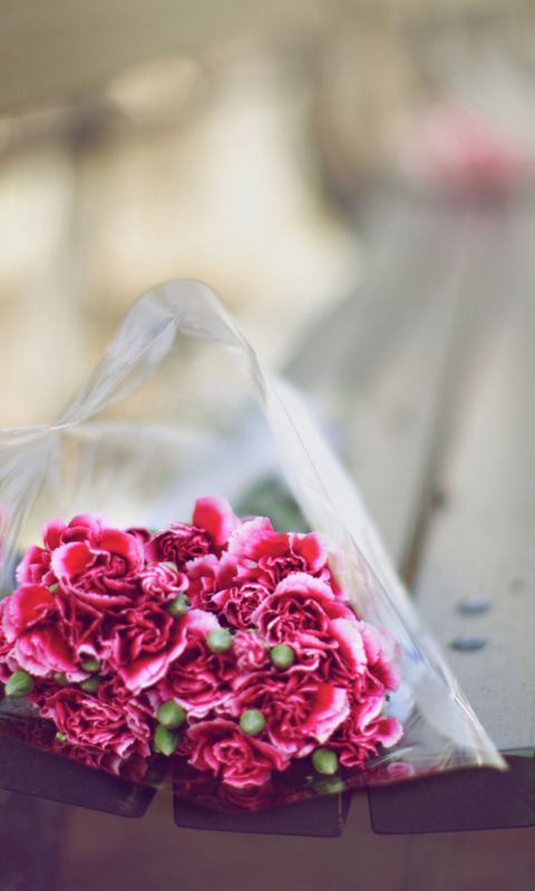 Fondo de pantalla Bouquet On Bench In Park 480x800