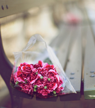 Bouquet On Bench In Park sfondi gratuiti per Nokia Lumia 800