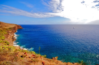 Oceans Cape - Obrázkek zdarma pro Sony Xperia E1