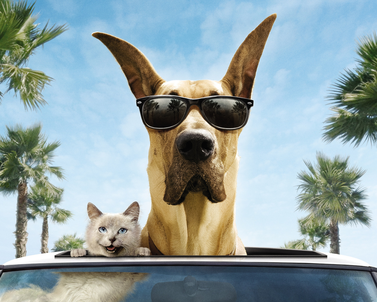 Funny Dog In Sunglasses wallpaper 1280x1024