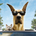 Funny Dog In Sunglasses wallpaper 128x128