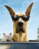 Das Funny Dog In Sunglasses Wallpaper 128x160