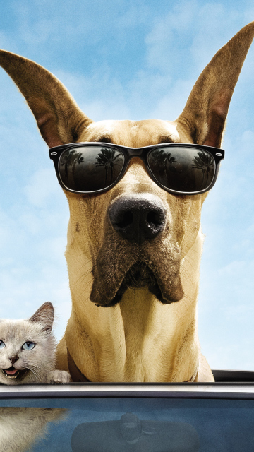 Funny Dog In Sunglasses wallpaper 360x640