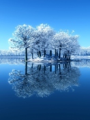 Sfondi Winter Reflections 132x176