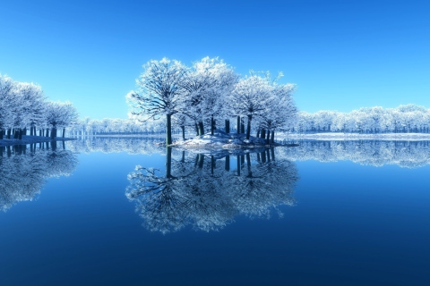 Winter Reflections wallpaper 480x320