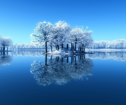 Sfondi Winter Reflections 480x400