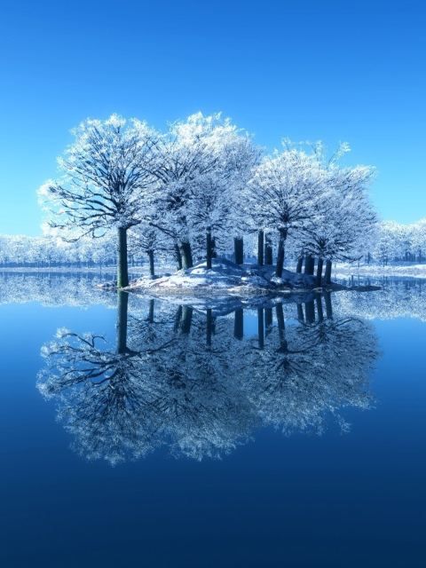 Sfondi Winter Reflections 480x640