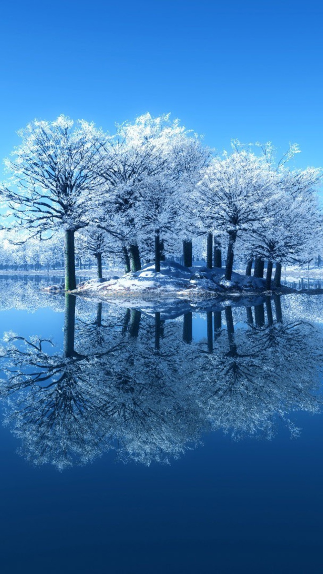 Fondo de pantalla Winter Reflections 640x1136