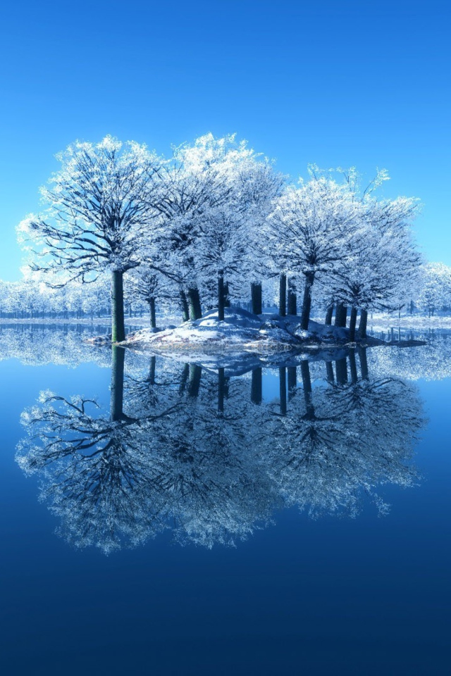 Winter Reflections wallpaper 640x960