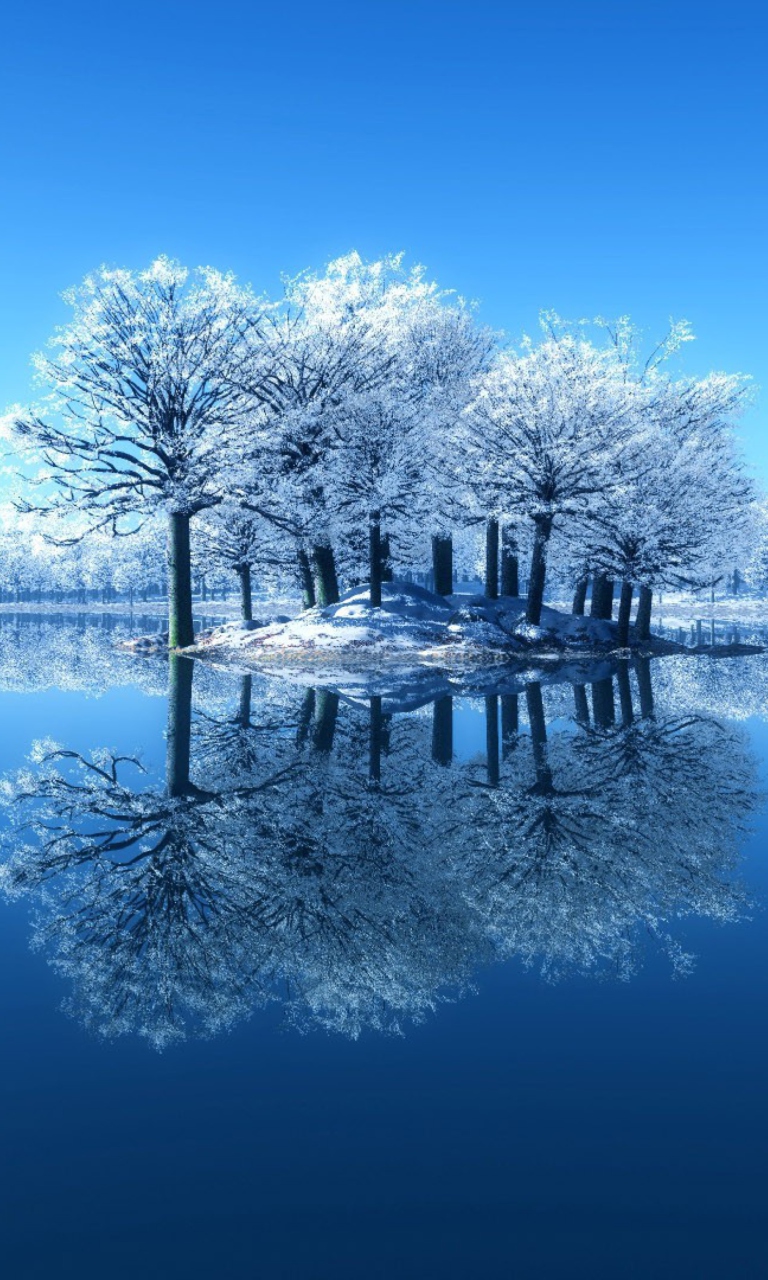 Das Winter Reflections Wallpaper 768x1280