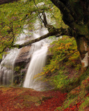 Path in autumn forest and waterfall wallpaper 128x160