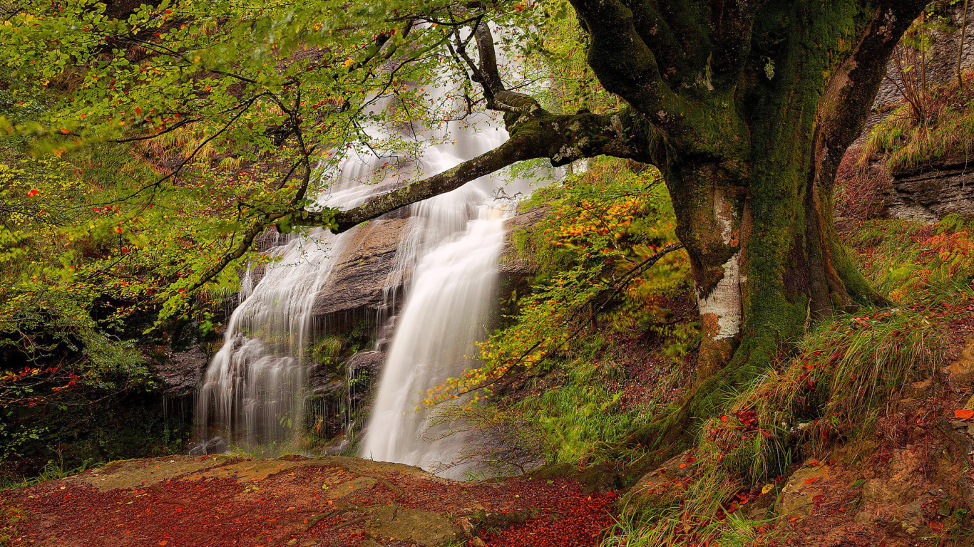 Fondo de pantalla Path in autumn forest and waterfall 1366x768