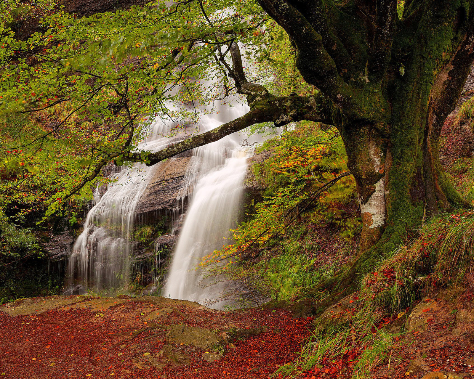 Das Path in autumn forest and waterfall Wallpaper 1600x1280