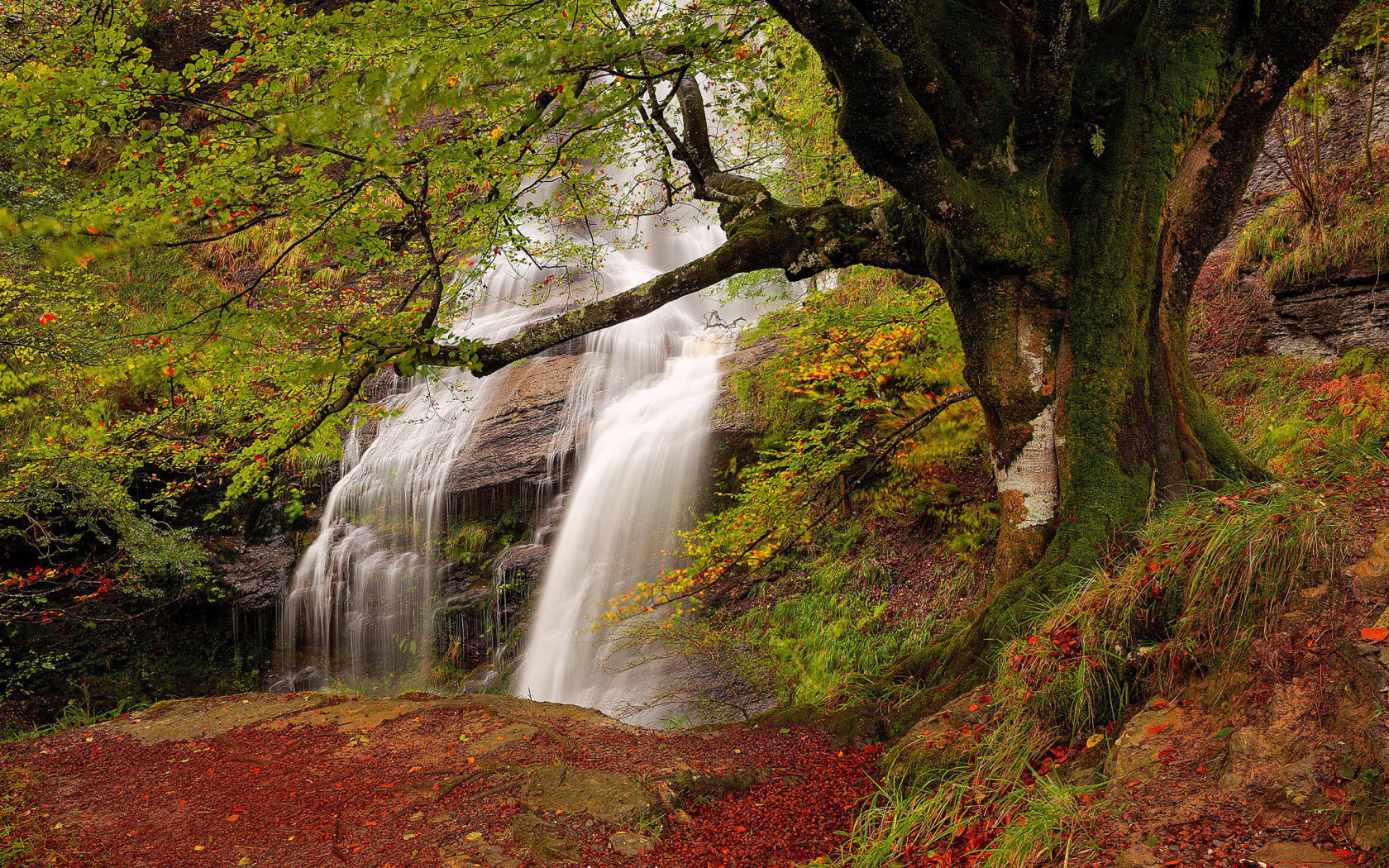 Fondo de pantalla Path in autumn forest and waterfall 1680x1050