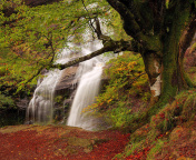 Das Path in autumn forest and waterfall Wallpaper 176x144