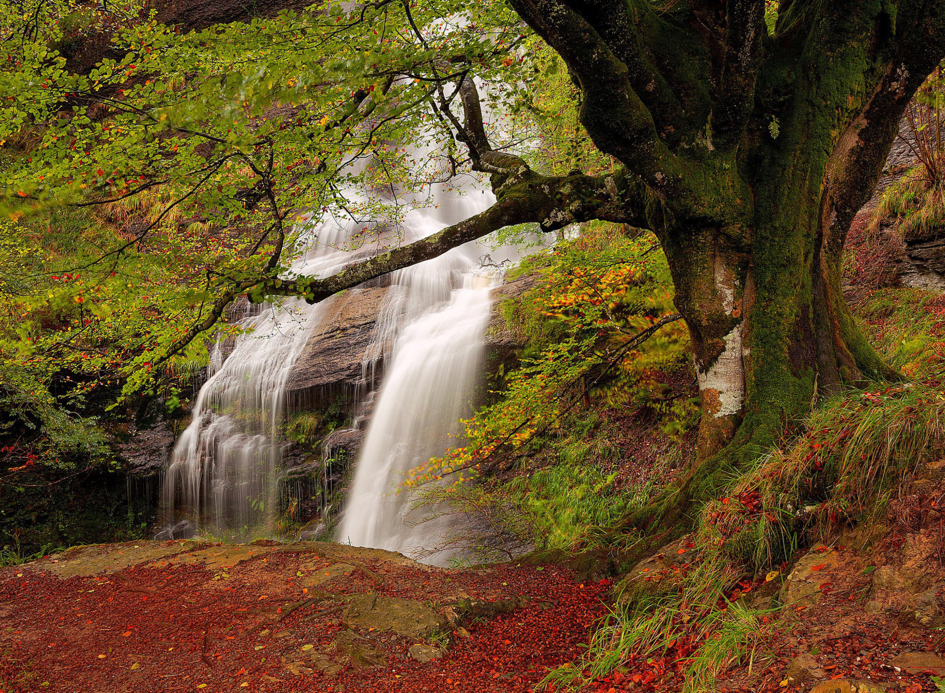 Path in autumn forest and waterfall wallpaper 1920x1408