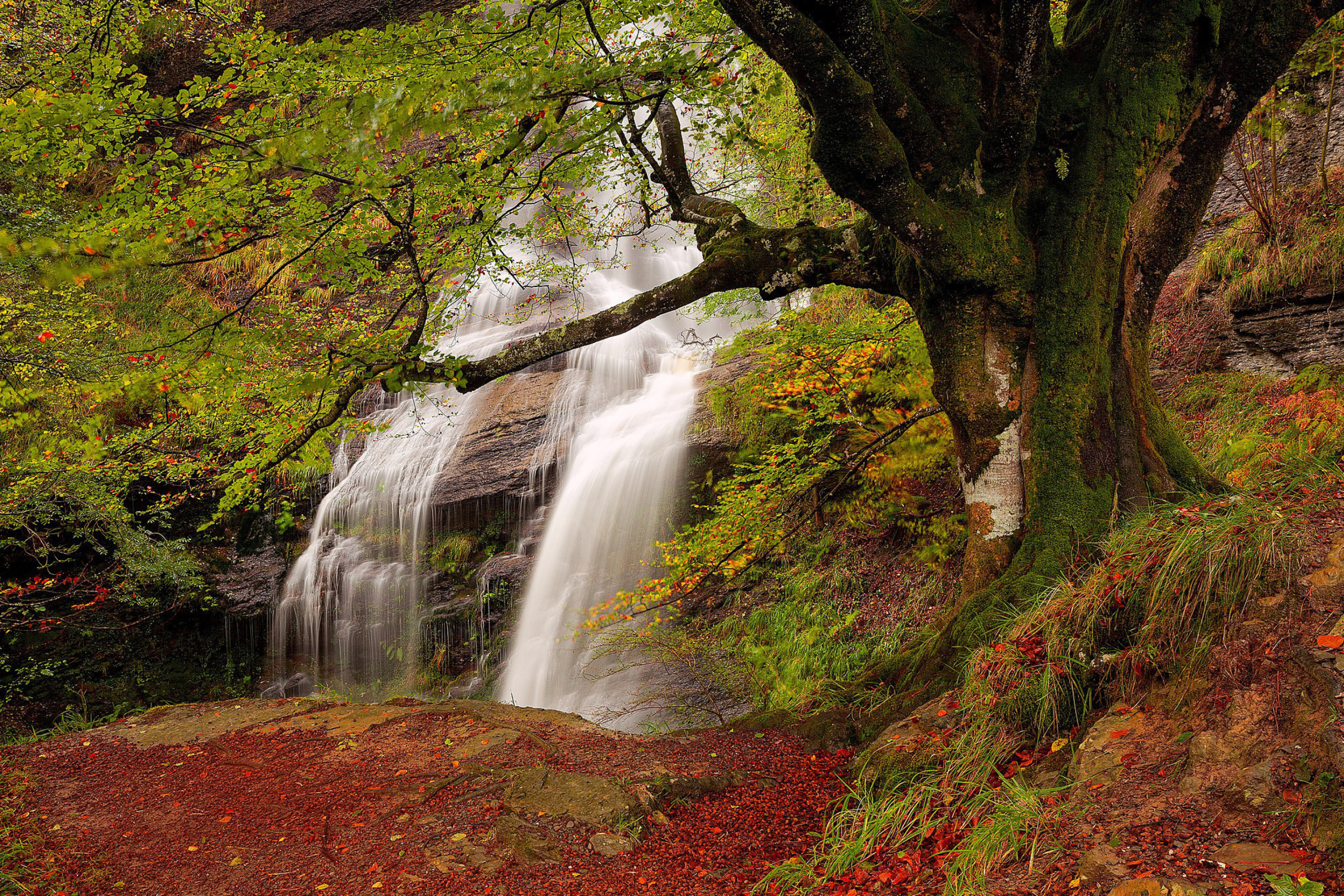 Path in autumn forest and waterfall wallpaper 2880x1920