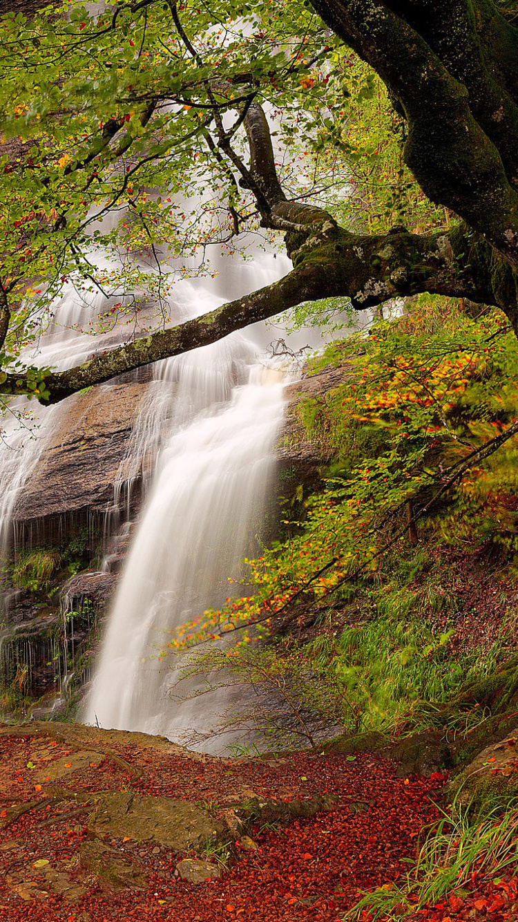 Path in autumn forest and waterfall wallpaper 750x1334