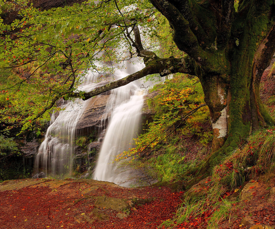 Path in autumn forest and waterfall screenshot #1 960x800