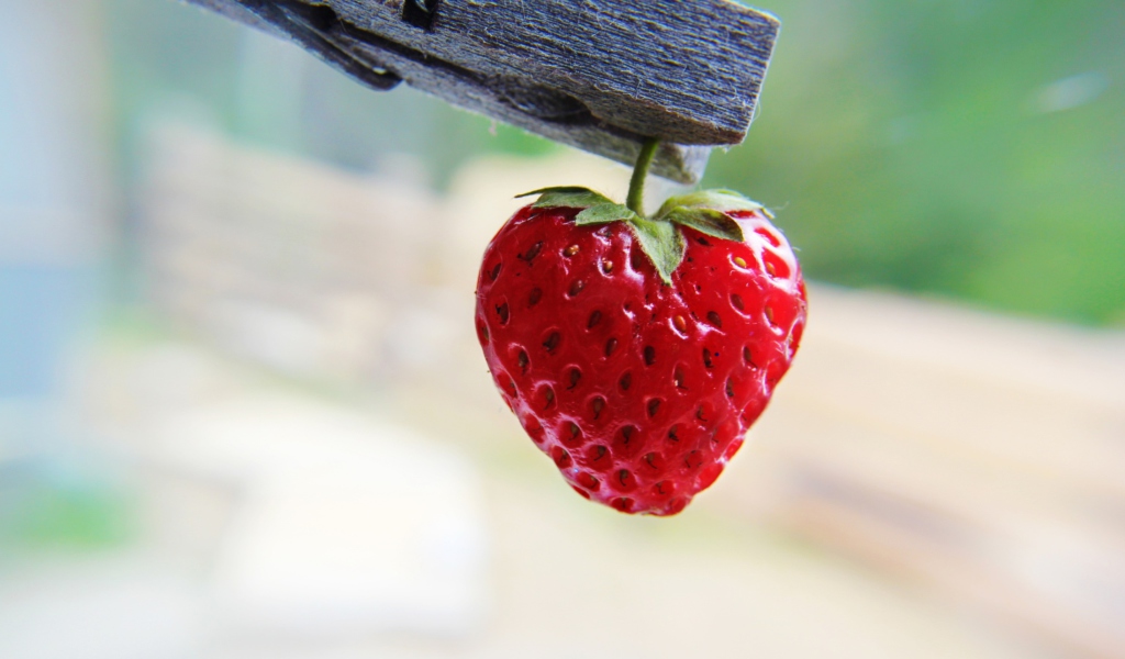 Red Strawberry Heart wallpaper 1024x600