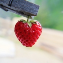Red Strawberry Heart wallpaper 128x128