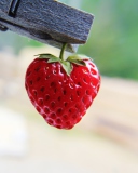 Red Strawberry Heart wallpaper 128x160