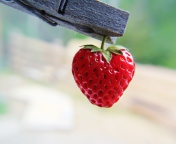 Red Strawberry Heart wallpaper 176x144
