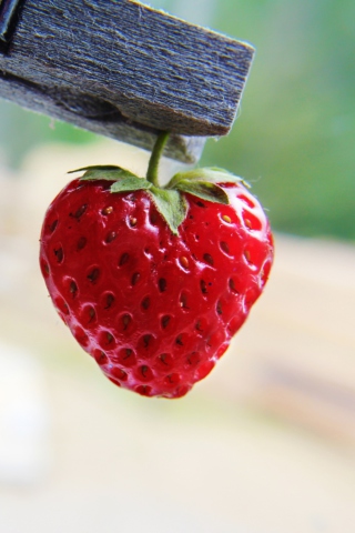 Red Strawberry Heart wallpaper 320x480