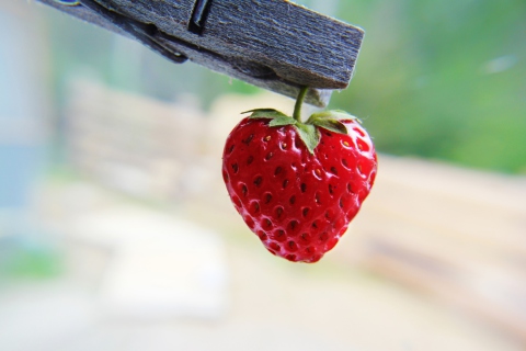 Das Red Strawberry Heart Wallpaper 480x320