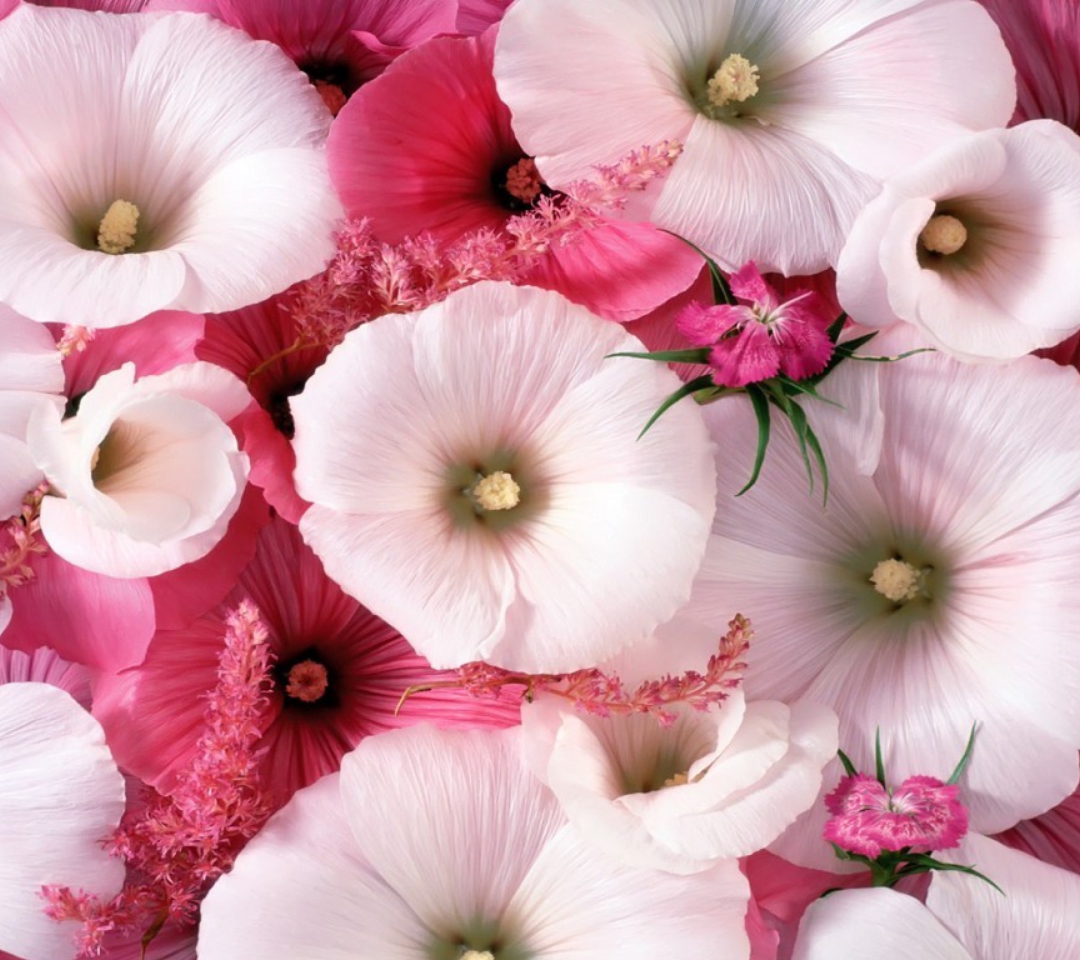 Das Pink Flowers Wallpaper 1080x960