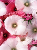 Pink Flowers screenshot #1 132x176