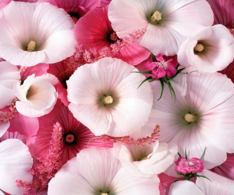 Pink Flowers wallpaper 960x800