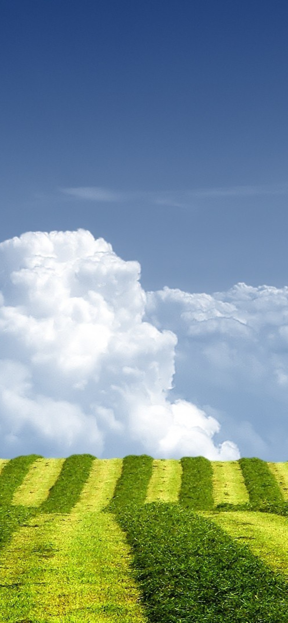 Das White Clouds And Green Field Wallpaper 1170x2532