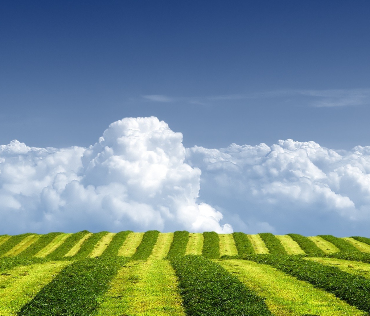 White Clouds And Green Field wallpaper 1200x1024