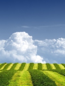 White Clouds And Green Field wallpaper 132x176