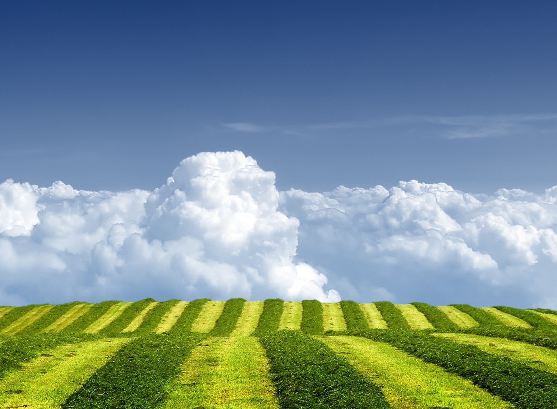 White Clouds And Green Field wallpaper 1920x1408