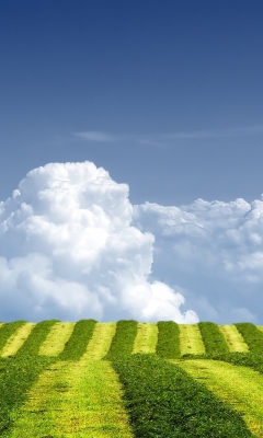 Das White Clouds And Green Field Wallpaper 240x400