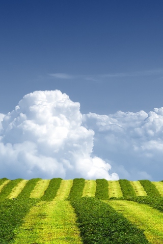 Das White Clouds And Green Field Wallpaper 320x480