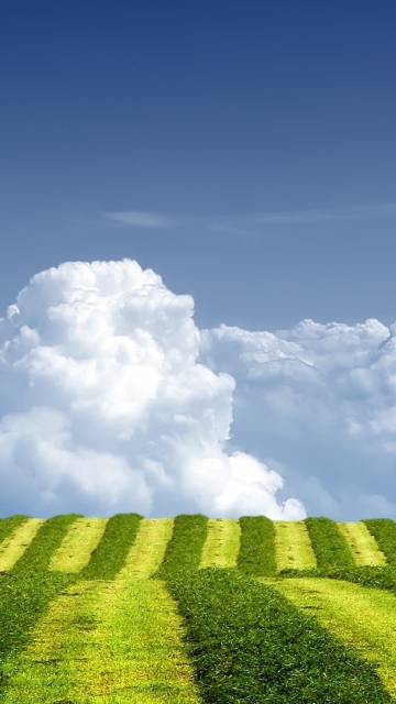 Das White Clouds And Green Field Wallpaper 360x640