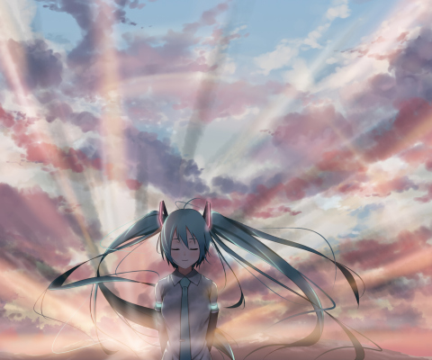 Fondo de pantalla Vocaloid, Hatsune Miku 480x400