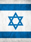 Screenshot №1 pro téma Israel Flag 132x176