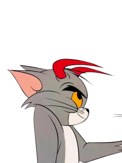 Fondo de pantalla Tom and Jerry 240x320
