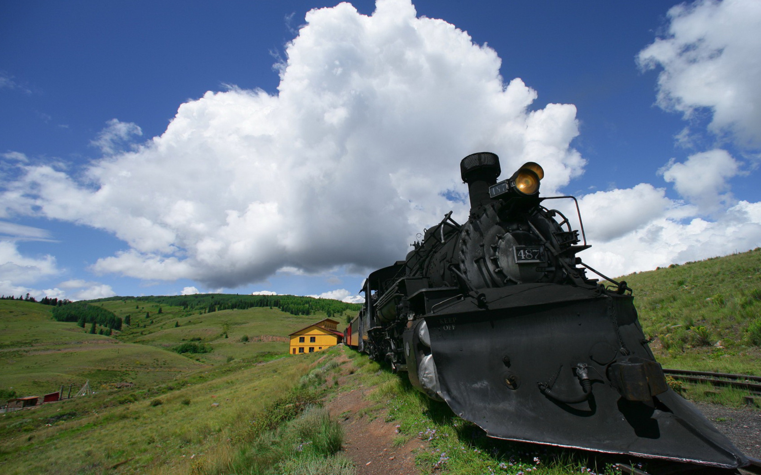 Train In Field wallpaper 2560x1600