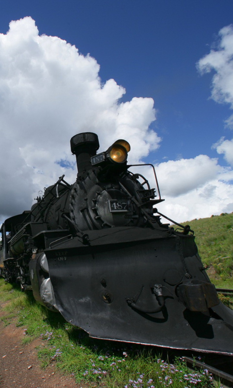 Sfondi Train In Field 480x800