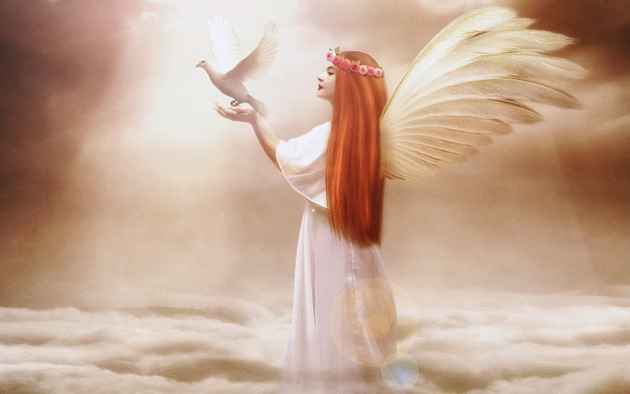 Angel From Dream wallpaper 1280x800