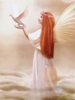 Angel From Dream wallpaper 240x320