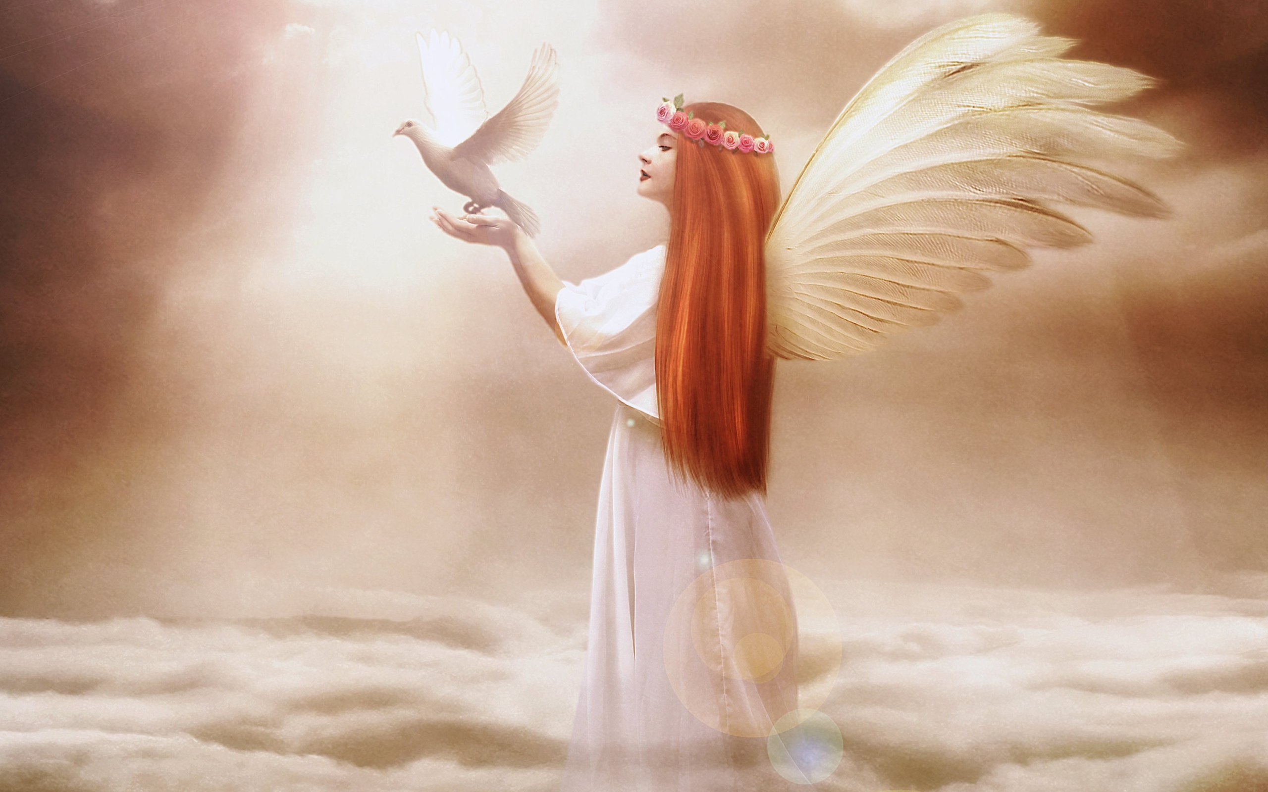 Angel From Dream wallpaper 2560x1600