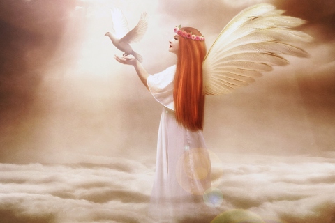 Das Angel From Dream Wallpaper 480x320