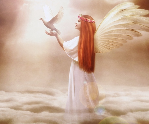 Angel From Dream wallpaper 480x400